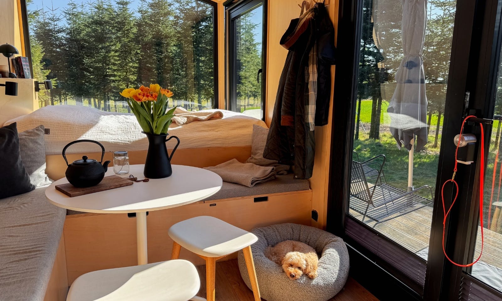 Gelenkschonende Hundebetten