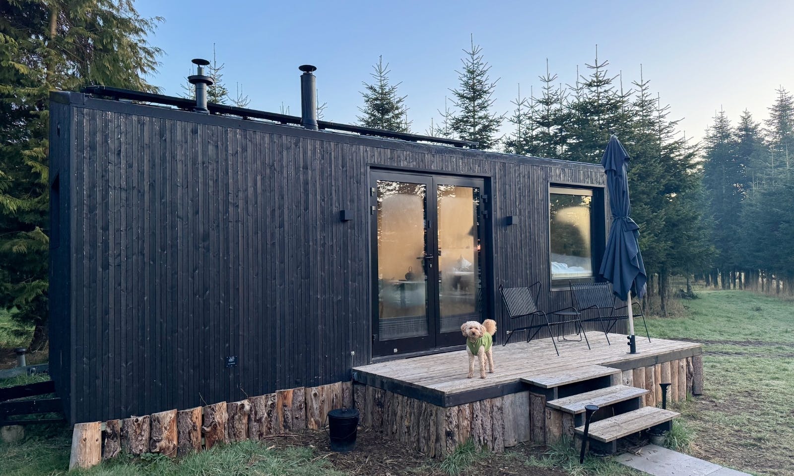 Urlaub im Tiny House mit Goldendoodle Java