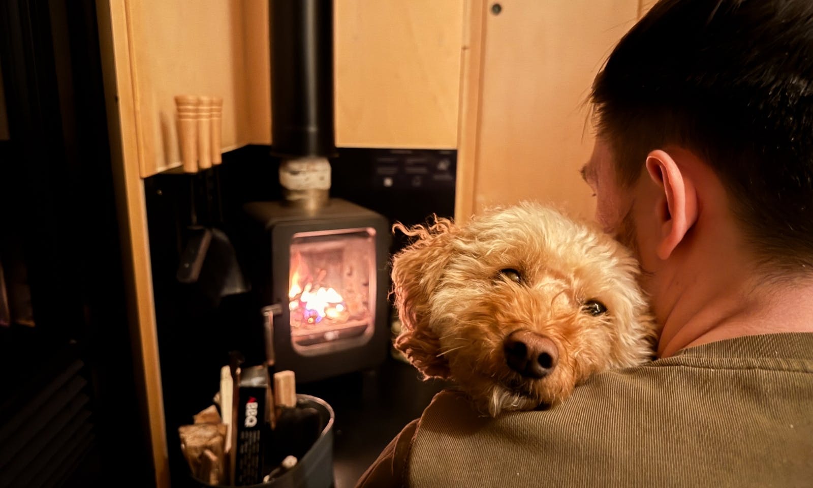 Hund im hundefreundlichen Tiny House vor dem Kamin
