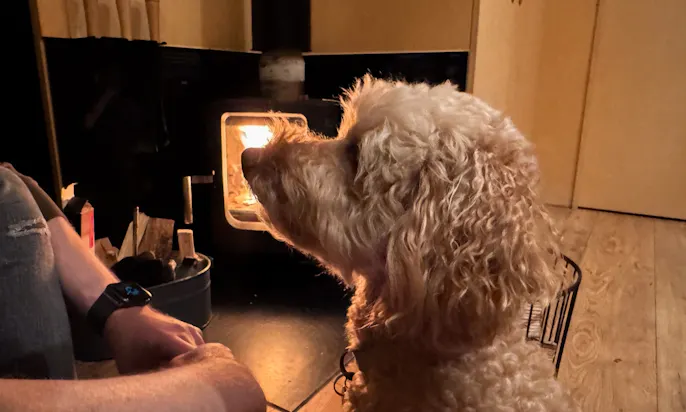 Hund im hundefreundlichen Tiny House vor dem Kamin