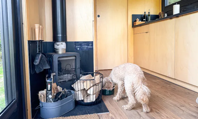 Hundeausstattung im Tiny House von Raus