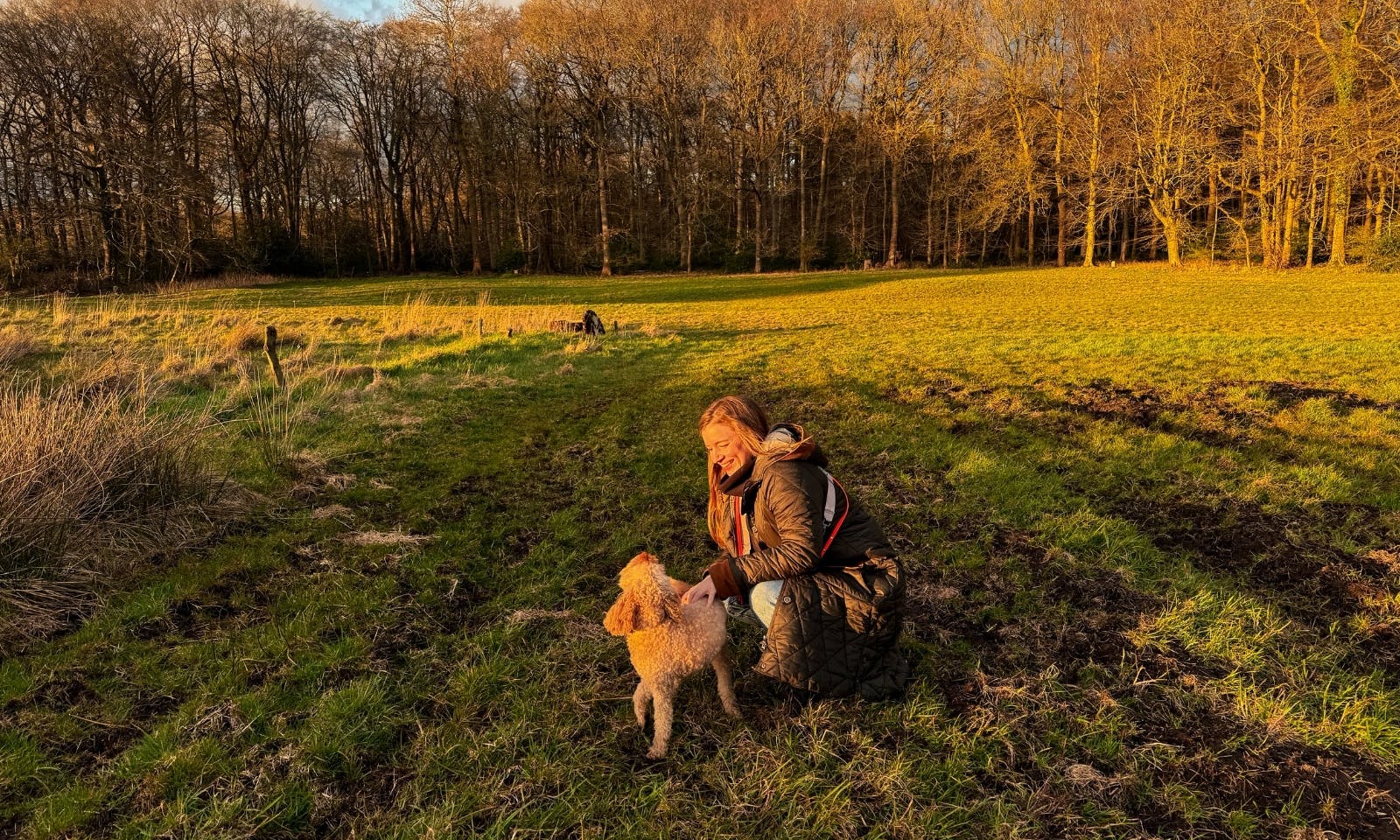 Tiny House Tannenlichtung von Raus