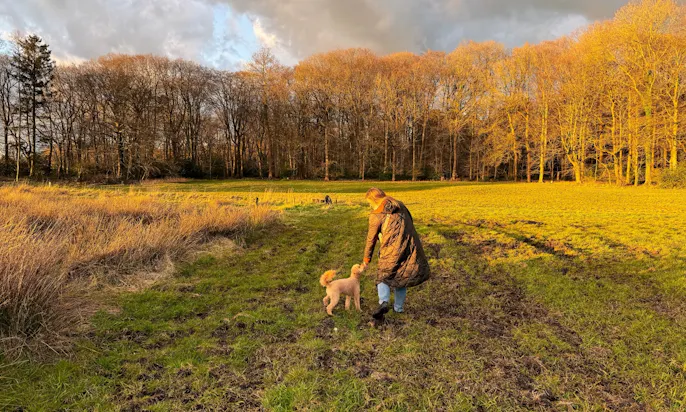 Mit Hund in der Natur