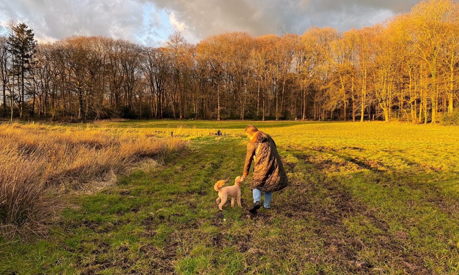 Mit Hund in der Natur