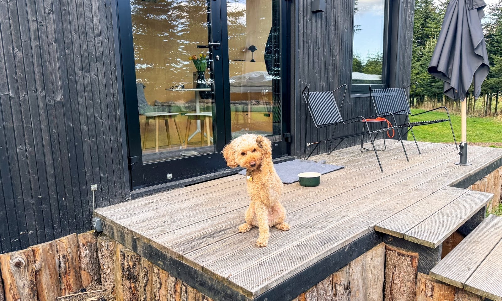 Tiny House Tannenlichtung von Raus