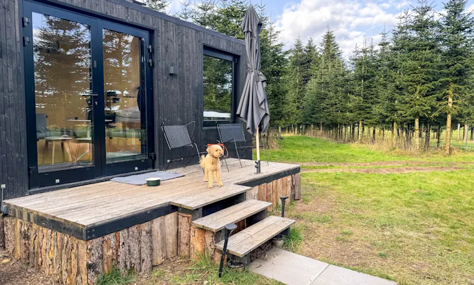 Hundeausstattung im Tiny House von Raus