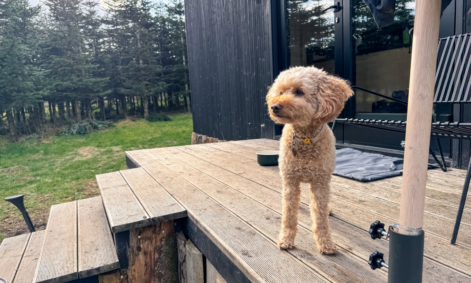 Hundeausstattung im Tiny House von Raus