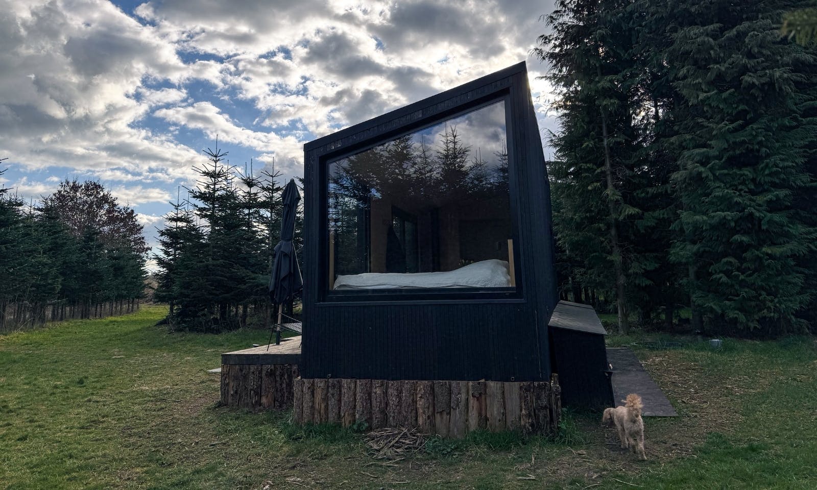 Tiny House Tannenlichtung von Raus