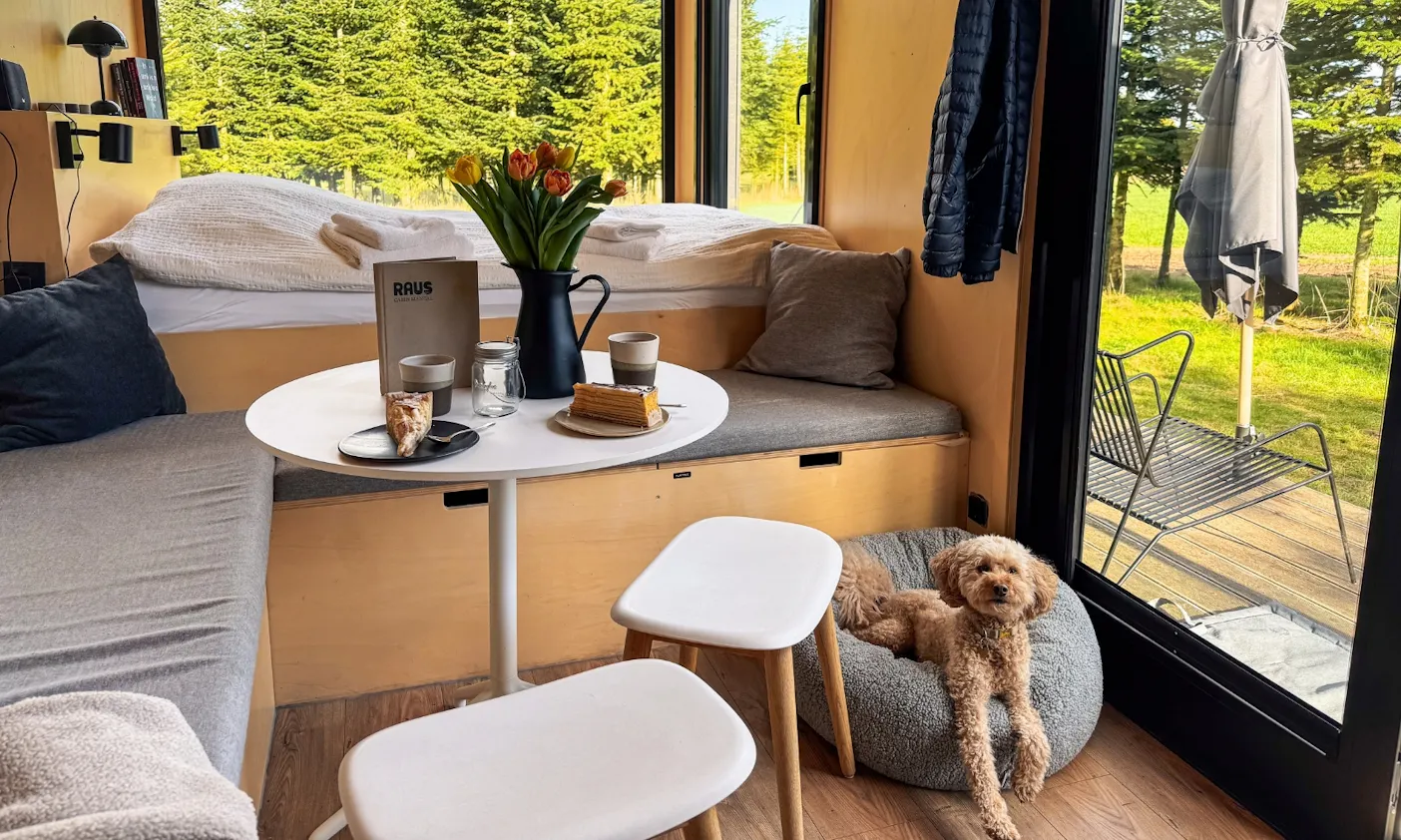 Goldendoodle im Tiny House