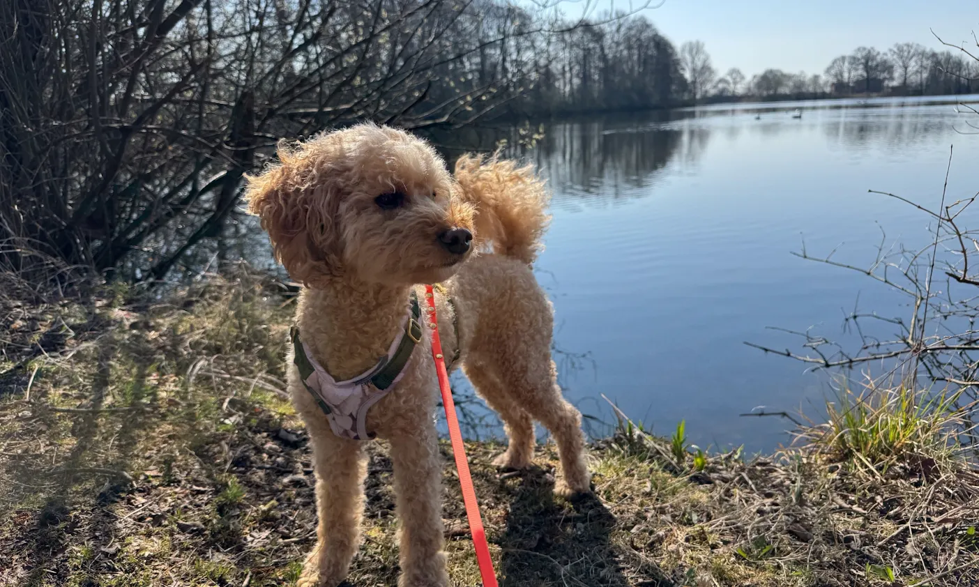Ausflug zum See