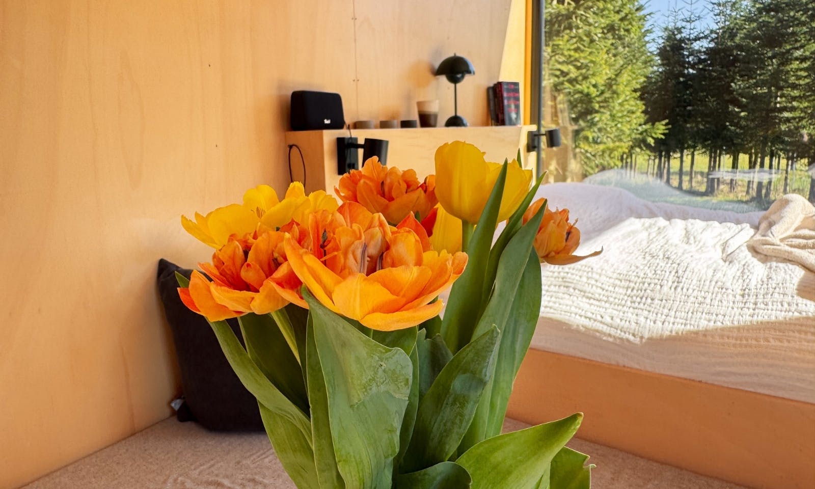 Blumen im Tiny House