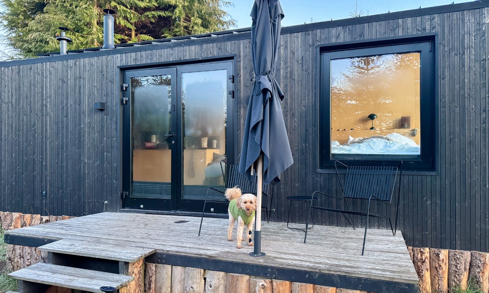 Hund steht vor einen Raus Tiny House