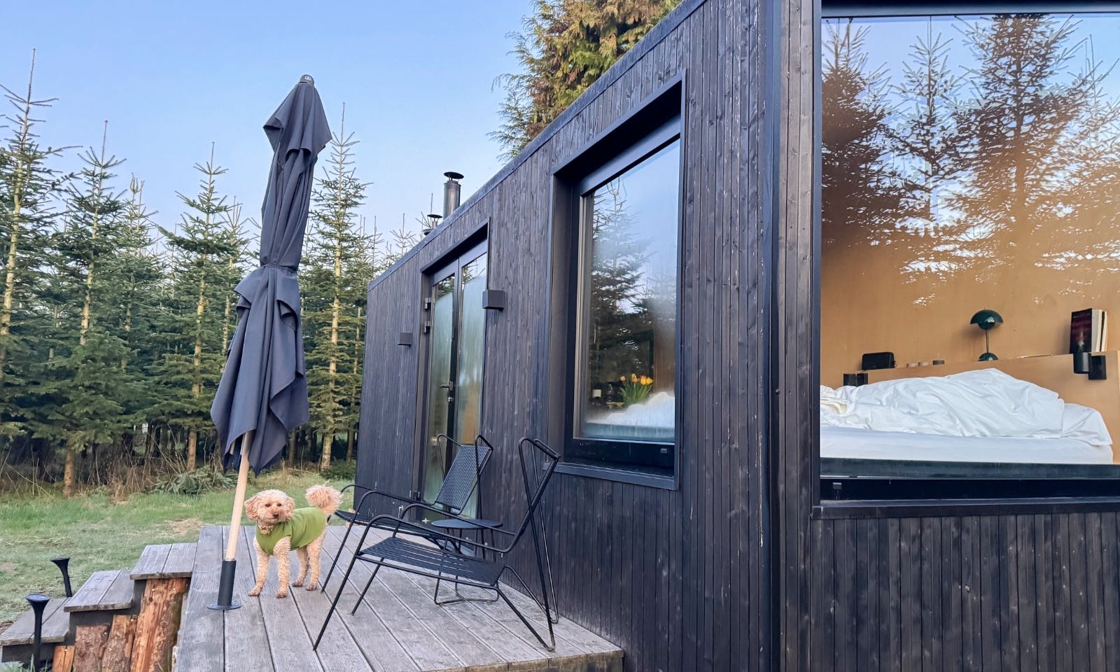 Tiny House mit Hund bei Hamburg
