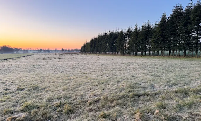 Natur beim Sonnenaufgang
