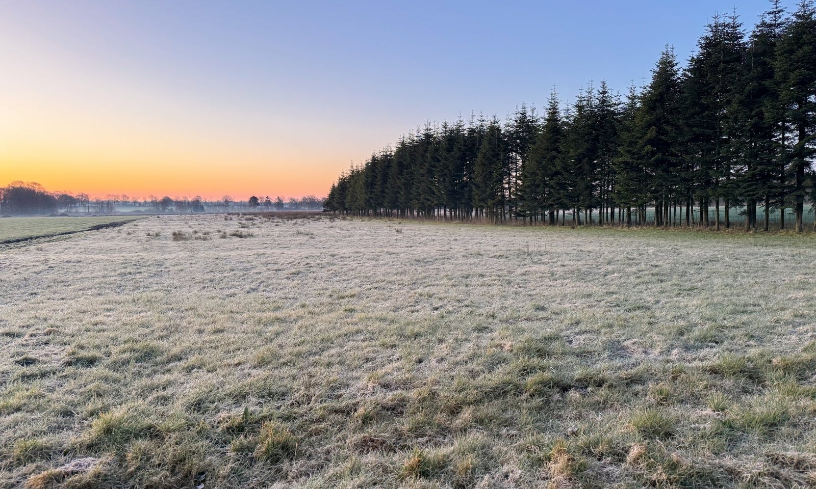 Natur beim Sonnenaufgang