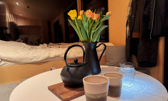 Tee Tiny House Raus Tannenlichtung