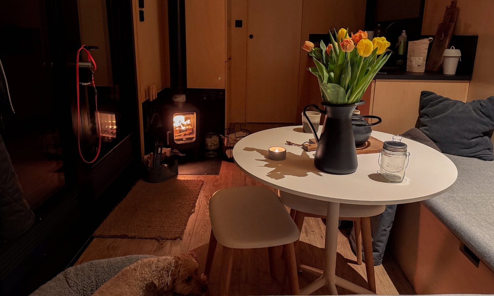 Hund im hundefreundlichen Tiny House vor dem Kamin