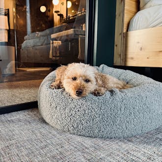 Hundekissen Donut Kuschelnest LOOP DogsInTheCity