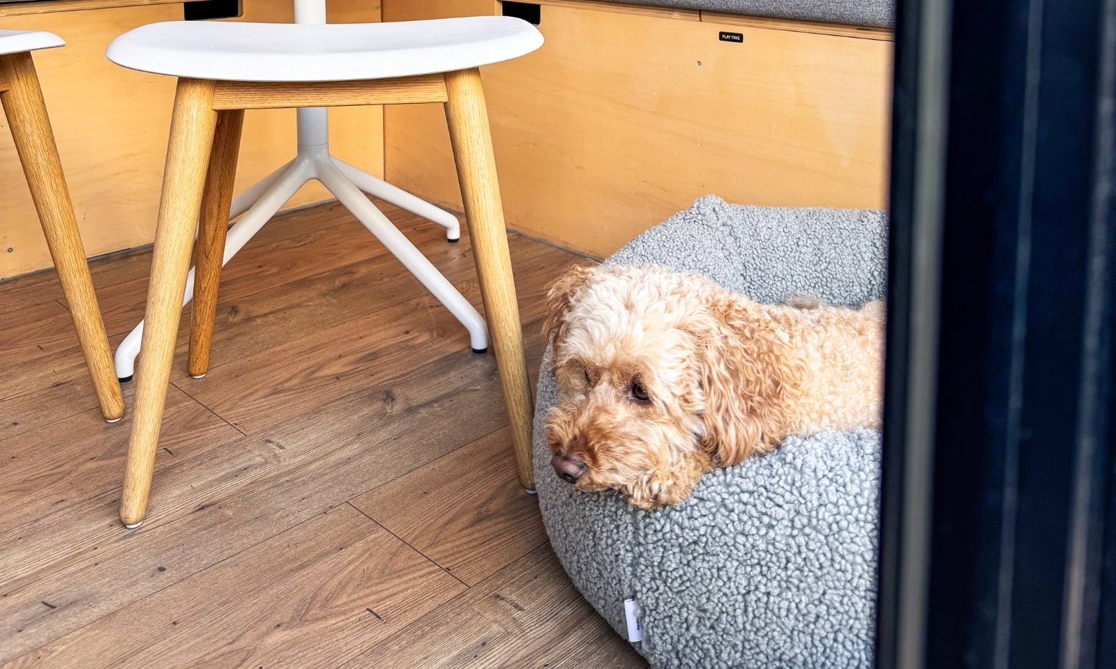 Tiny House Tannenlichtung von Raus mit Hund