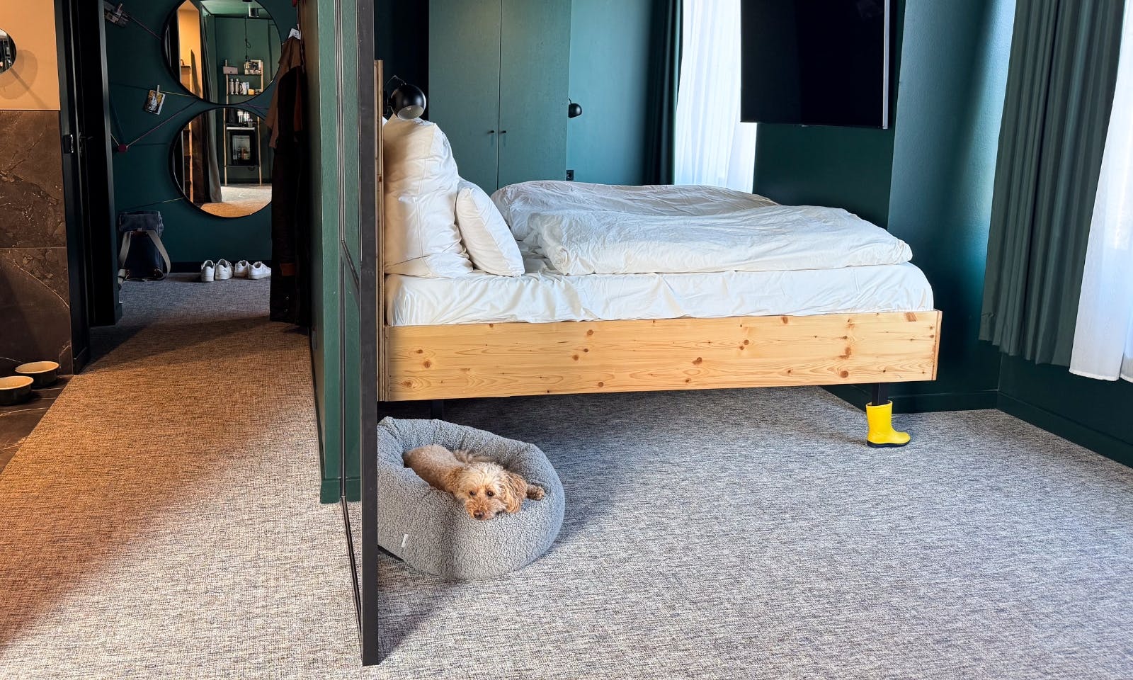 Pudel im Hundekissen Donut Kuschelnest LOOP Paddy