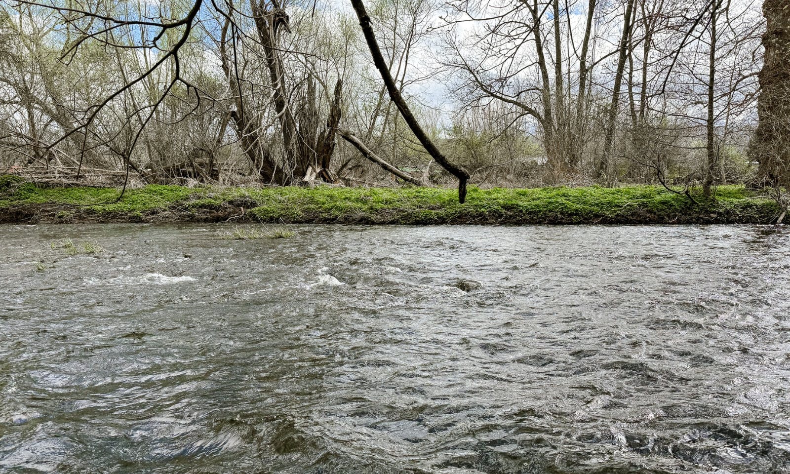 Fluss Bode im Harz im Frühling