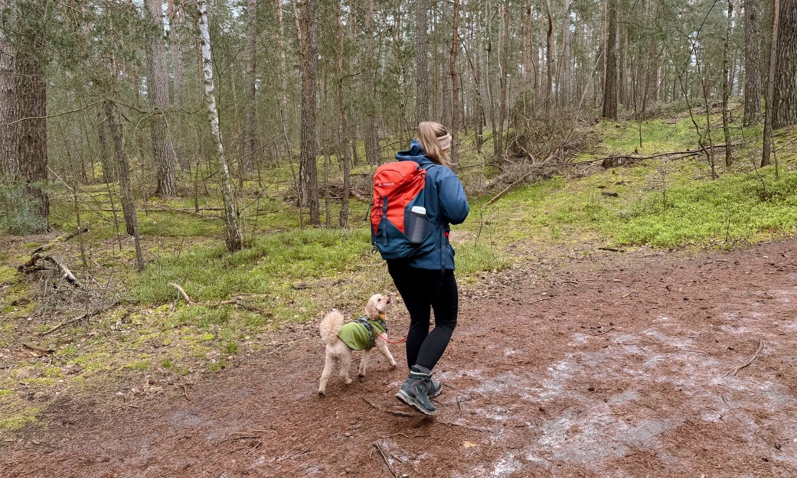 Von Kaiserwegen zu geheimnisvollen Höhlen: Entdeckungsreise auf der Alten Heerstraße