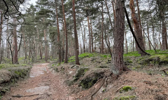 Von Kaiserwegen zu geheimnisvollen Höhlen: Entdeckungsreise auf der Alten Heerstraße