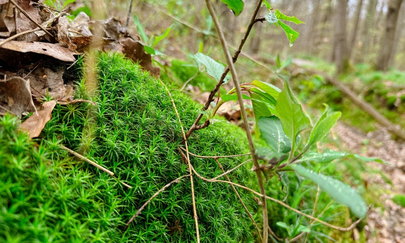 Von Kaiserwegen zu geheimnisvollen Höhlen: Entdeckungsreise auf der Alten Heerstraße
