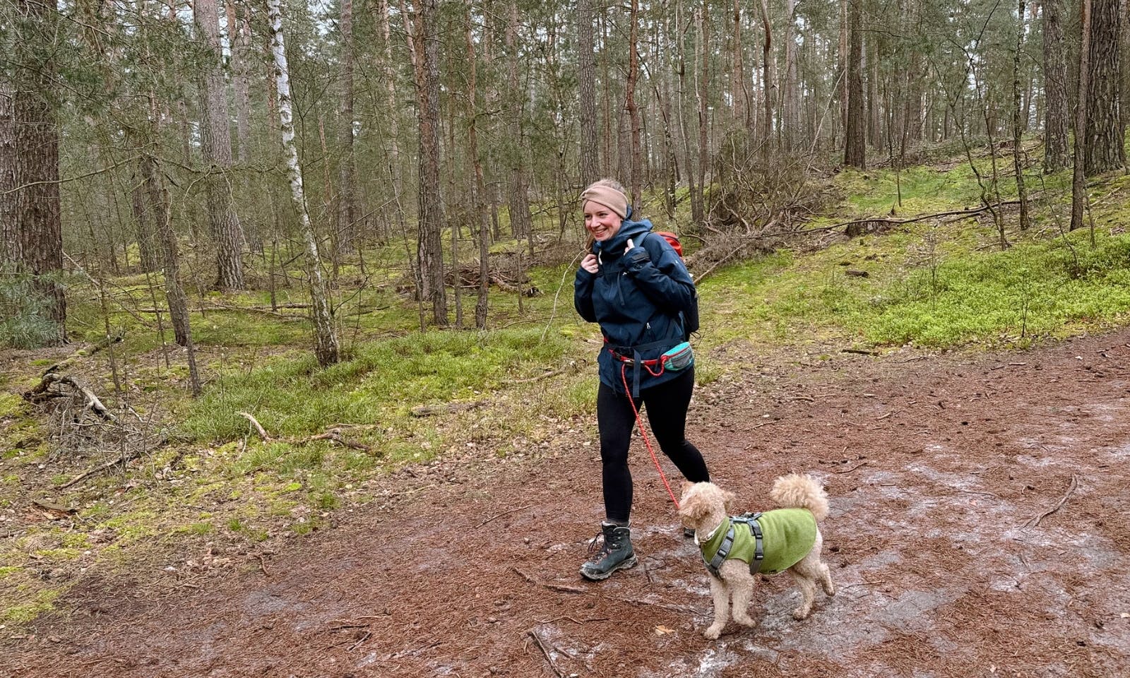 Wandern mit Hund im Harz