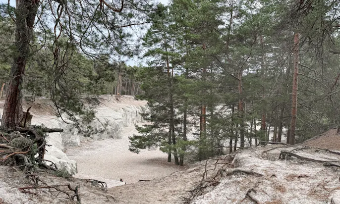 Sandsteinhöhlen mit Hund im Harz