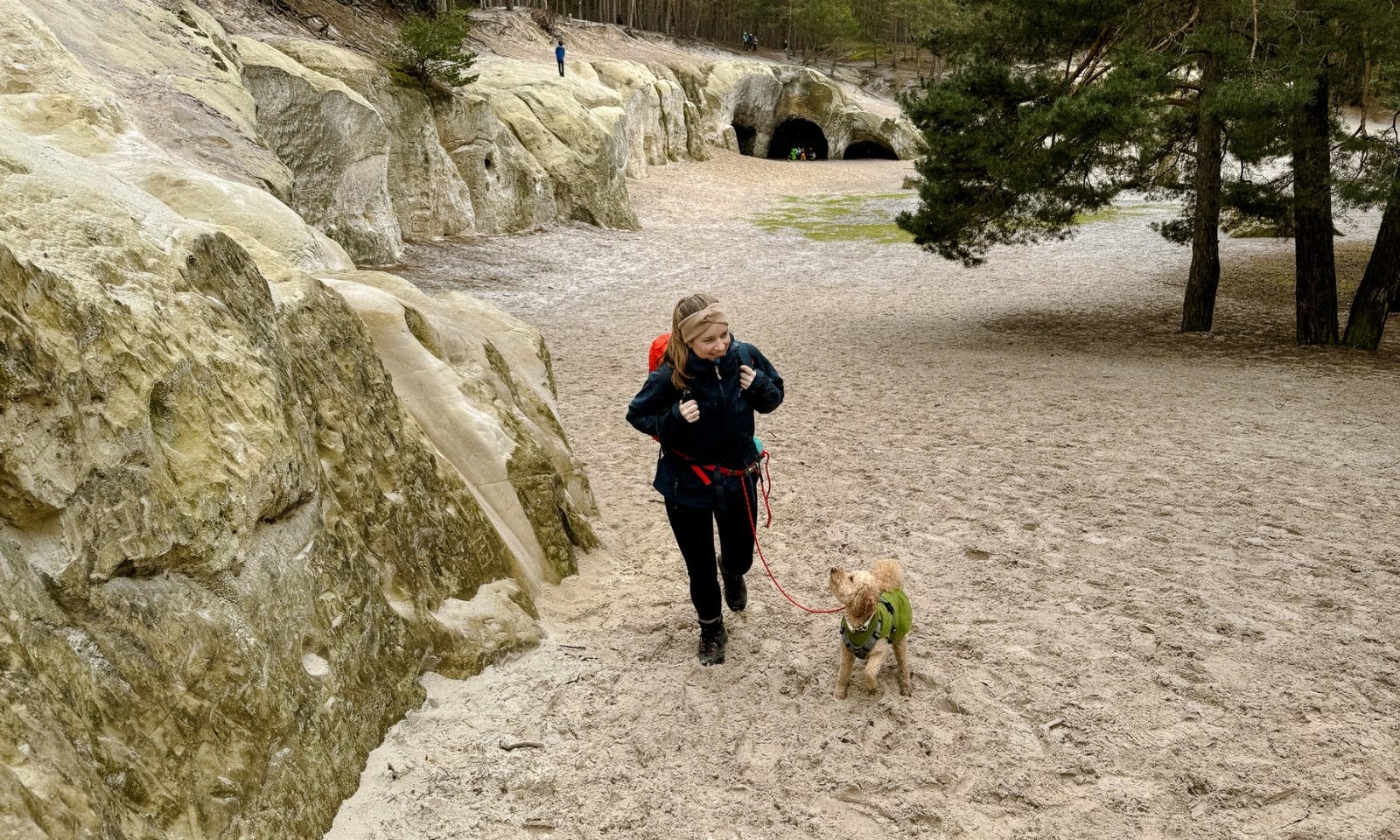 Wandern mit Hund im Harz: Erlebe Blankenburgs faszinierende Sandsteinhöhlen und die mystische Burg Regenstein