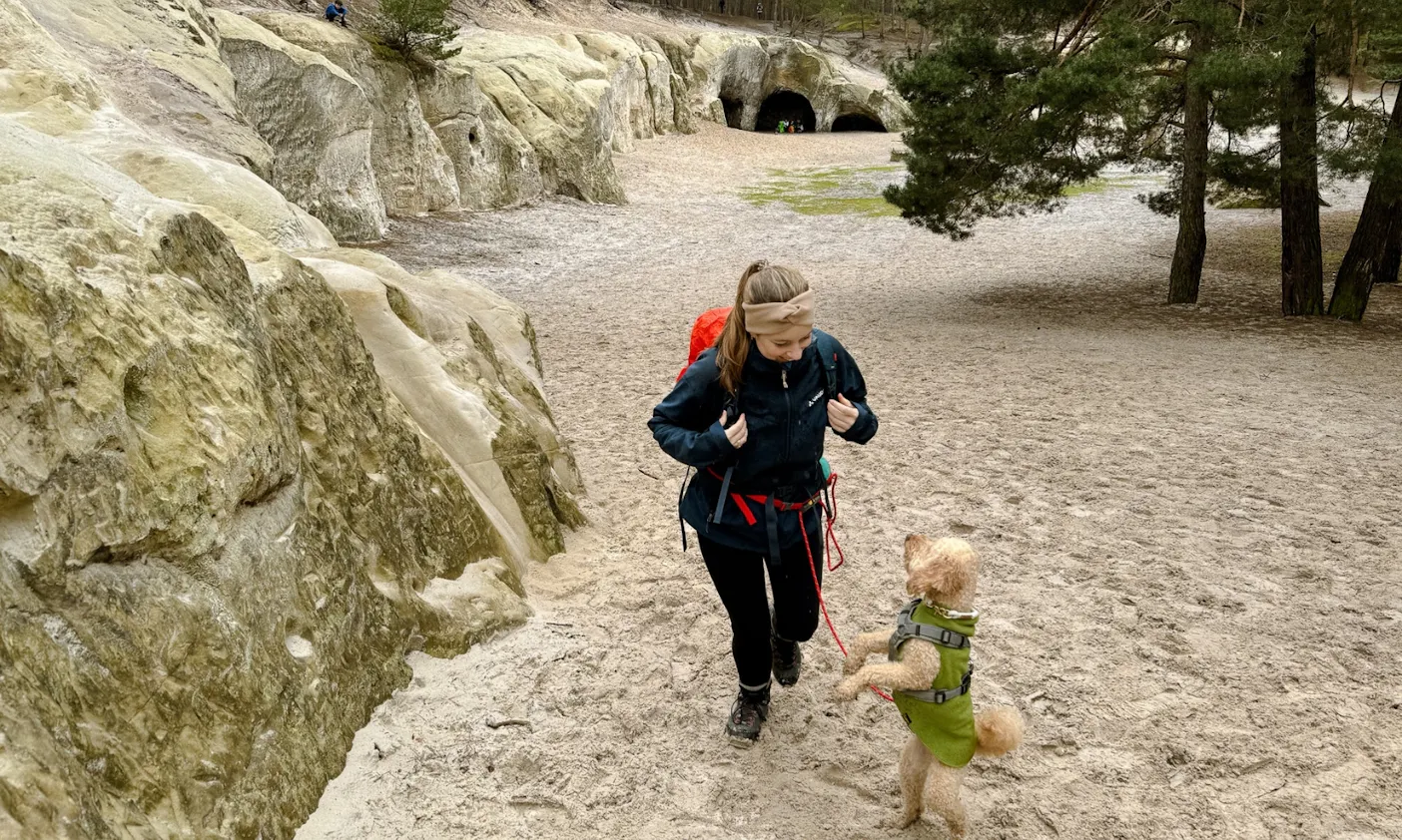 Sandsteinhöhlen mit Hund