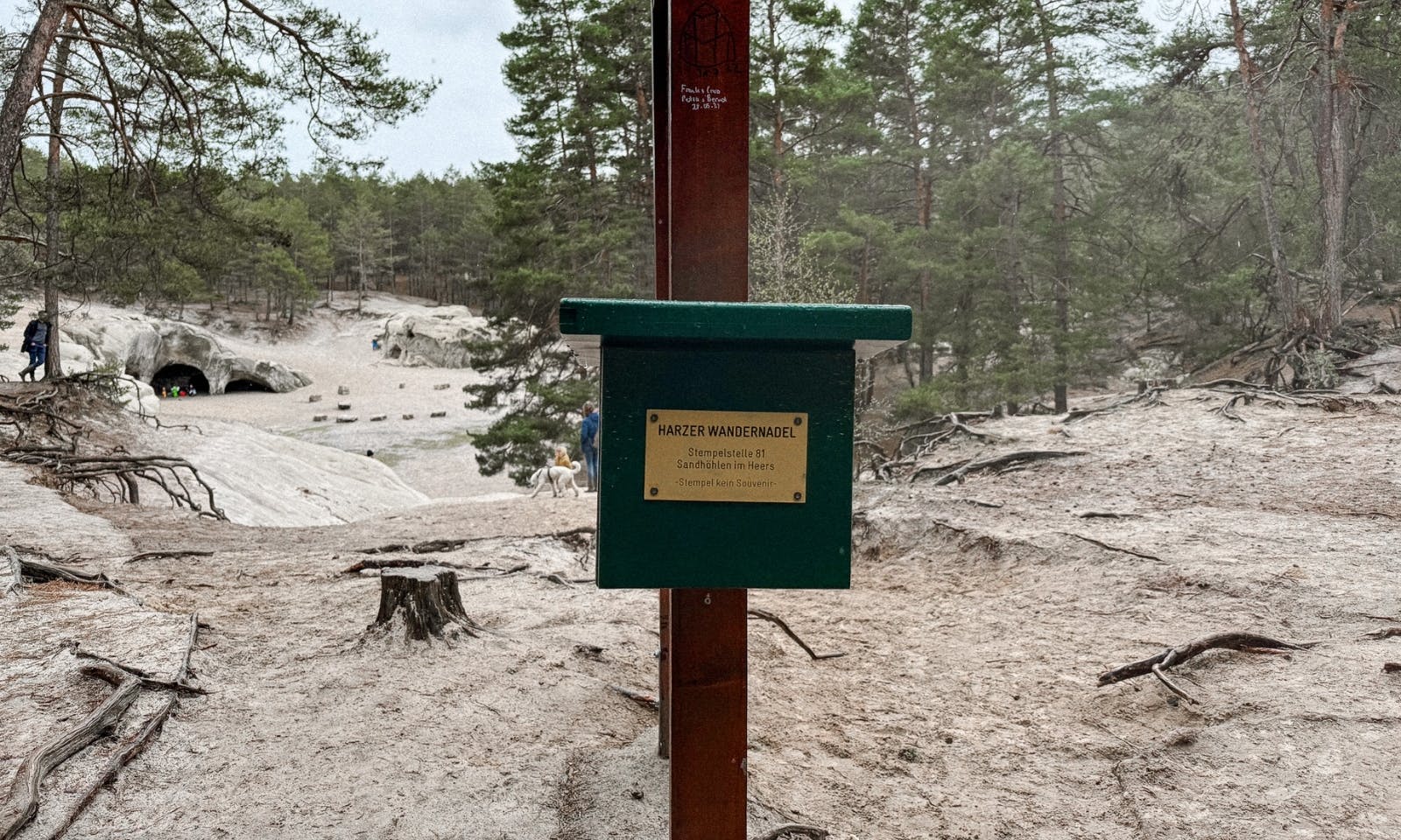 Harzer Wander Nadel bei den Sandsteinhöhlen