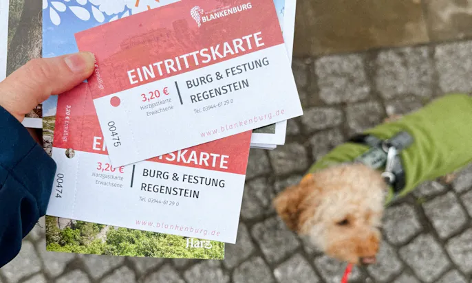 Eintrittspreise Burg Regenstein