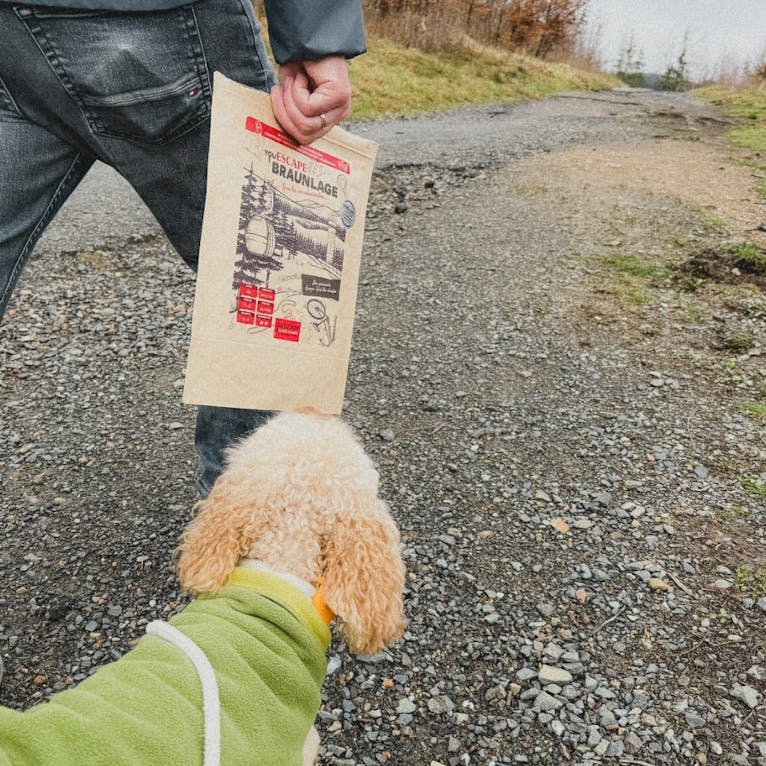 Braunlage mit Hund You Escape Spiel mit Hund