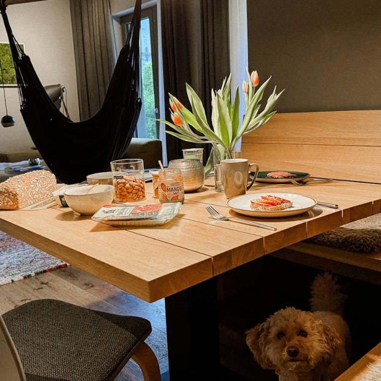 EchtZeit Hotel in Braunlage mit Hund