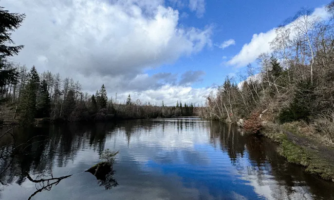 Silbersee in Braunlage im Frühling