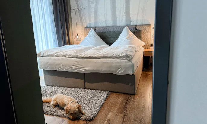 Goldendoodle wartet vor dem Hotelbett im EchtZeit Hotel in Braunlage