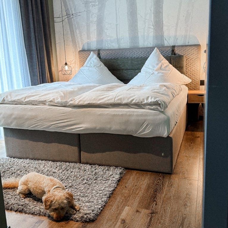 EchtZeit Hotel in Braunlage mit Hund