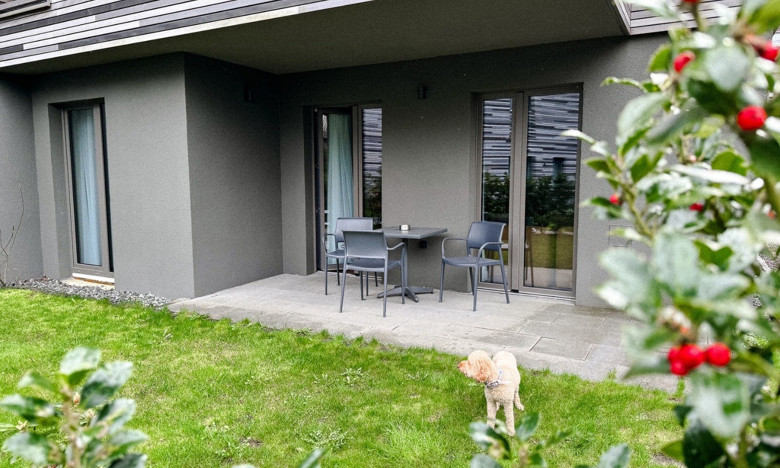 EchtZeit Hotel in Braunlage mit Hund