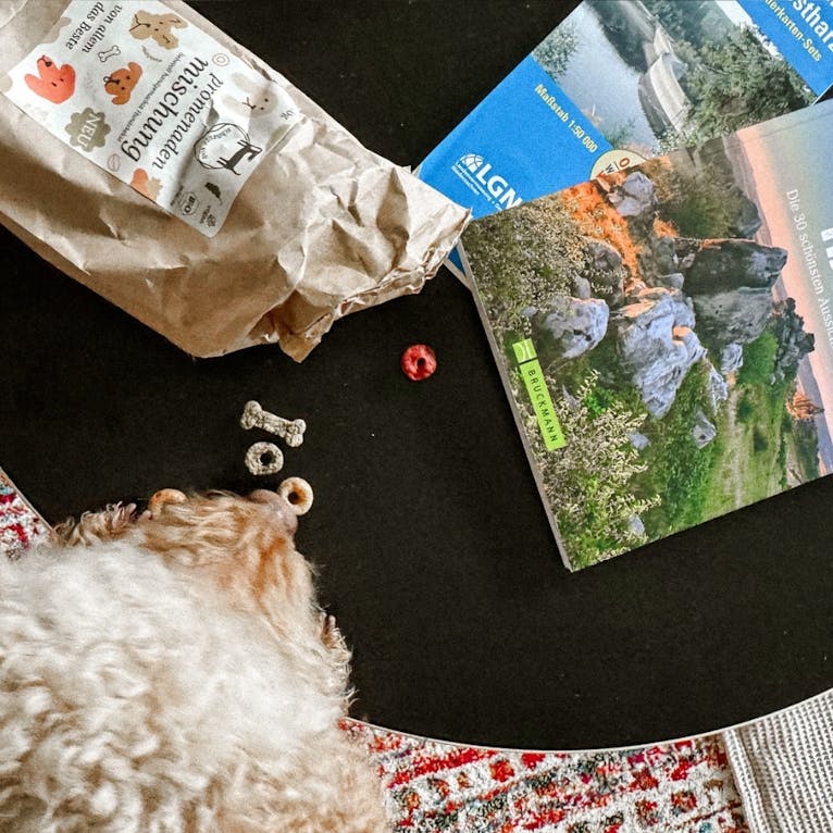 EchtZeit Hotel in Braunlage mit Hund