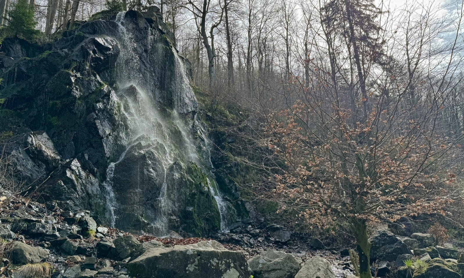 Randau Wasserfall im Frühling