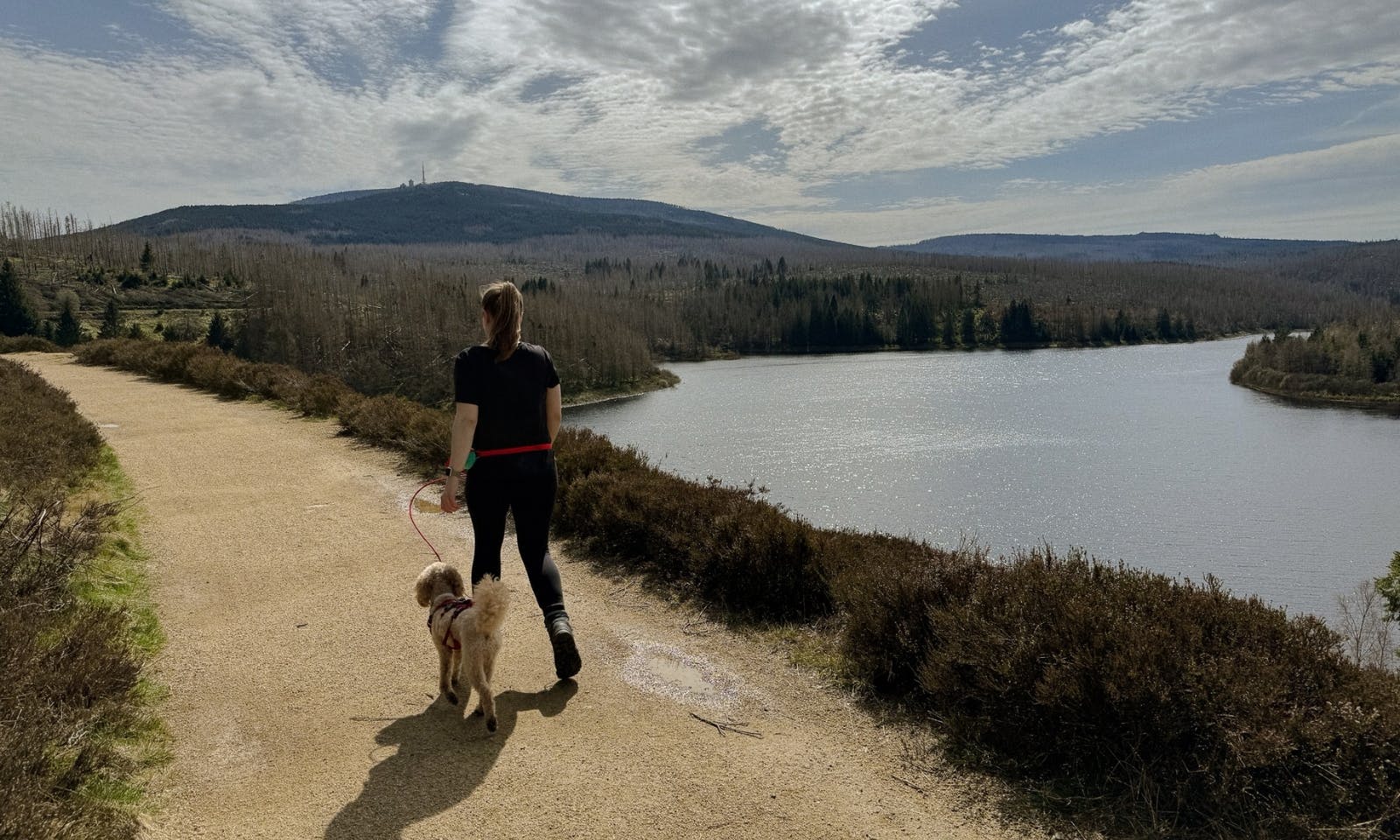 Wandern um die Eckertalsperre mit Hund