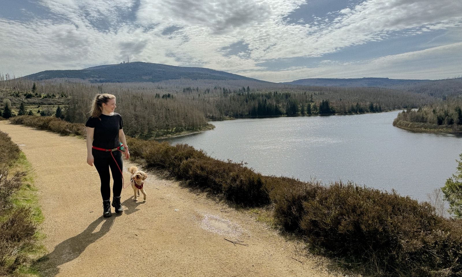 Teufelsmauer mit Hund