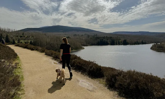 Frühlingshaftes Wetter mit leichten Wolken und eine Frau mit ihrem Pudel, die an der Eckertalsperre im Harz wandern