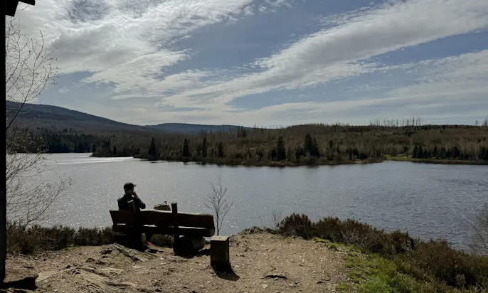 Eckertalsperre im Harz