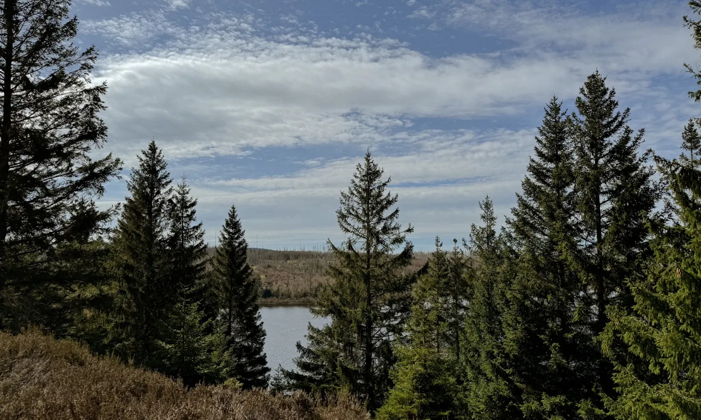 Eckertalsperre im Harz