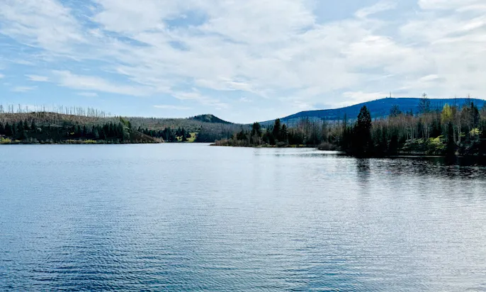 Eckertalsperre im Harz im Frühling