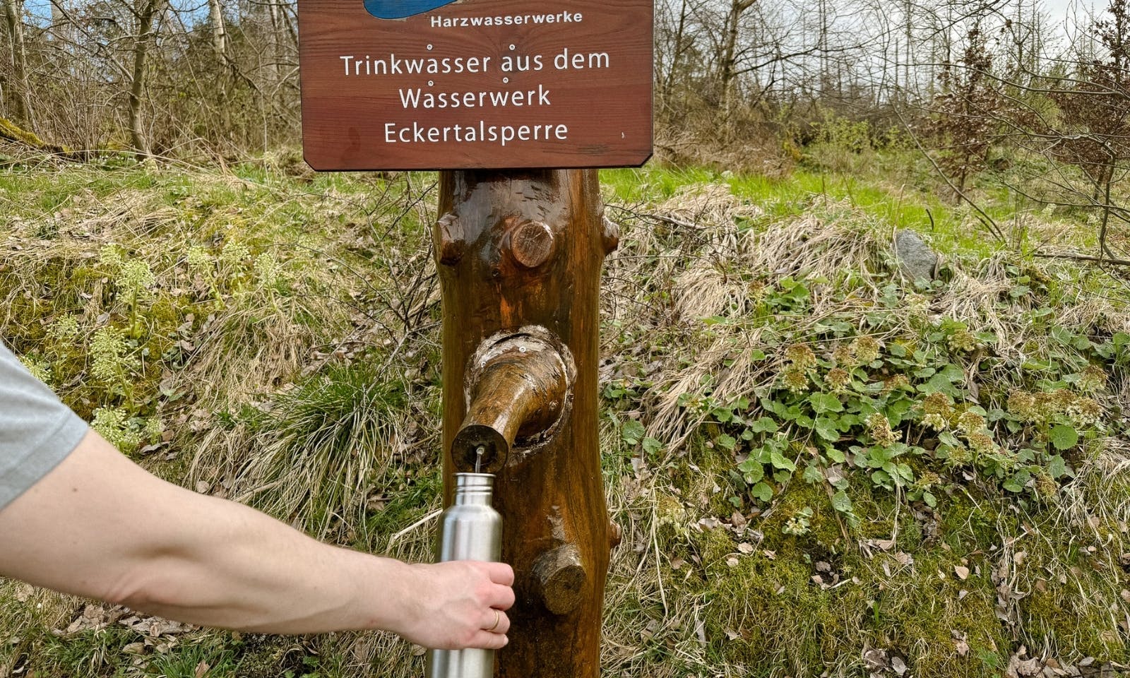 Trinkwasserquelle an der Eckertalsperre im Harz zur freien Verfügung