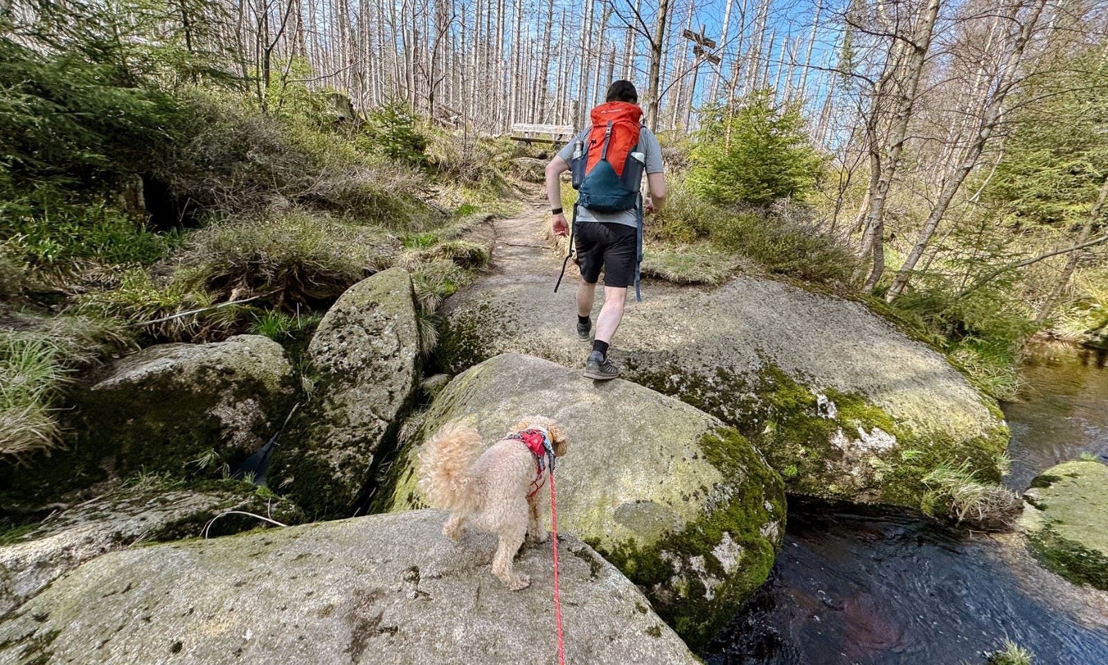 Große Schritte für die Eckerquerung im Harz